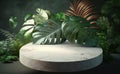 Close up of round empty rock table with sunlight with tropical leaves plants, mockup Royalty Free Stock Photo