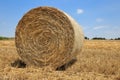 Close up of a round, golden hay bale on a reaped wheat field against blue sky with clouds Royalty Free Stock Photo