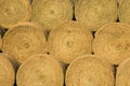 Close Up of Round Hay Bales