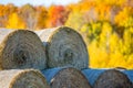 Close-up of Round hay bales in a Wisconsin field surrounded by a colorful forest in October