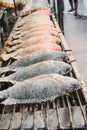 Row of grilled fish with salt on charcoal grill in local market Nile Tilapia Fish , Red Tilapia Fish Royalty Free Stock Photo