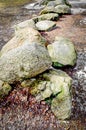 Close-up of a row of moss covered stones Royalty Free Stock Photo