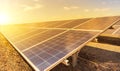 Close up rows array of polycrystalline silicon solar cells or photovoltaics in solar power plant on sunset