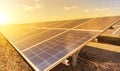 Close up rows array of polycrystalline silicon solar cells or photovoltaics in solar power plant on sunset