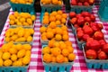 Close-up of rows of blue quart containers of small red and yellow tomatoes on a white and red checkered tablecloth Royalty Free Stock Photo