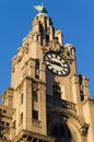 Close up of the Royal Liver Building Liverpool Merseyside February 2013 Royalty Free Stock Photo