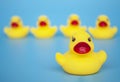 Close up of rubber duck with blur background of other rubber ducks. Leadership concept Royalty Free Stock Photo