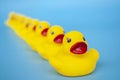 Close up of rubber duck leading other rubber ducks. Leadership concept Royalty Free Stock Photo