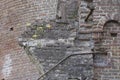 Close-up of a ruin in a forest at estate De Haere near Deventer, The Netherlands Royalty Free Stock Photo