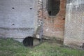 Close-up of a ruin in a forest at estate De Haere near Deventer, The Netherlands Royalty Free Stock Photo