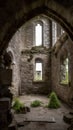 Ruined Irish Abbey or Monastery Overgrown with Grass and Shrubs AI Generative