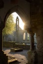 Ruined Irish Abbey or Monastery Overgrown with Grass and Shrubs AI Generative