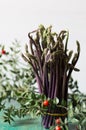 Close up of Ruscus aculeatus known as a butcher with red berries (pungitopo). Ruscus Aculeatus fresh sprouts