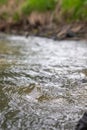 Close-up of rushing water, photo of wave texture and background. Waves of a small stream.
