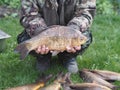 Russian rivers.River fish carp in the hands of a fisherman.