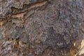 Close up Rust on mooring bollard Royalty Free Stock Photo