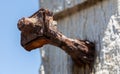 A close up of a rusted bolt used in an old jetty Royalty Free Stock Photo