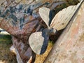 Close up of a rusted old propeller and boat bottom