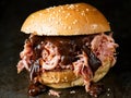 Rustic american barbecued pulled pork sandwich Royalty Free Stock Photo