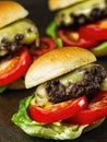 Rustic american slider sandwich mini hamburger Royalty Free Stock Photo