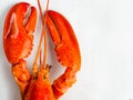 Rustic cooked boiled red lobster Royalty Free Stock Photo