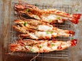 Rustic grilled jumbo prawn