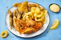 Rustic italian fried seafood fritto misto Royalty Free Stock Photo