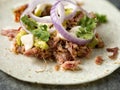 Rustic mexican american pulled pork tacos