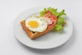 Close up of rustic savory bacon and egg waffle. Traditional breakfast idea. Egg toast for breakfast Royalty Free Stock Photo