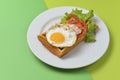 Close up of rustic savory egg waffle. Traditional breakfast idea. Egg toast for breakfast Royalty Free Stock Photo