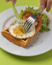 Close up of rustic savory egg waffle. Traditional breakfast idea. Egg toast for breakfast Royalty Free Stock Photo