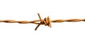 close-up rusty barb wire on white background Royalty Free Stock Photo