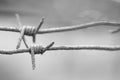 Close-up of a rusty barbed wire fence