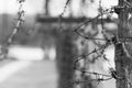 Close-up of a rusty barbed wire fence