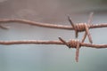 Close-up of a rusty barbed wire fence