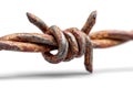 Close-up of rusty barbed wire showing corrosion and decay, isolated on white Royalty Free Stock Photo