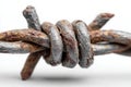 Close-up of rusty barbed wire showing corrosion, isolated on white Royalty Free Stock Photo