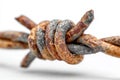 Close-up of rusty barbed wire showing corrosion, isolated on a white background Royalty Free Stock Photo
