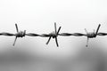 Close-up of rusty barbed wire symbolizing boundaries, restrictions, and security Royalty Free Stock Photo