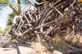 A stack of rusty bicycles in Amsterdam