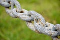 Close up a rusty iron chain or the interlocking steel rings show off the surface of the steel on green grass blurred background Royalty Free Stock Photo