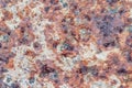 Rusty old  zinc wall texture abstract grunge background Royalty Free Stock Photo