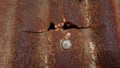 Close-up of rusty and perforated zinc roof