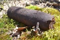 Close up of rusty whizzbang high explosive of the Second World War in forest of Belarus Royalty Free Stock Photo