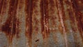 Close-up of a rusty zinc metal roof Royalty Free Stock Photo