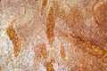 Close-up rye-bread crust, texture and food background Royalty Free Stock Photo