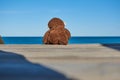 Close-up of a sad brown toy monkey and alone sitting on a wooden ladder going down to the beach looking pensively in the backgroun Royalty Free Stock Photo