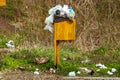 Close-up of a sad scene of scattered garbage. Location of the bin.