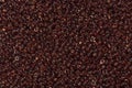 Close up of saddle brown seed beads. Royalty Free Stock Photo