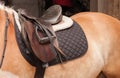 Close up of saddle on horseback, horse in stable Royalty Free Stock Photo